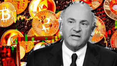 ‘Unregulated, rogue’ crypto exchanges to end under passport system, says O’Leary