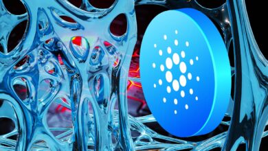 Charles Hoskinson Says Cardano Ecosystem Is Fine After SEC Bans Kraken US Staking Service – But There’s a Catch