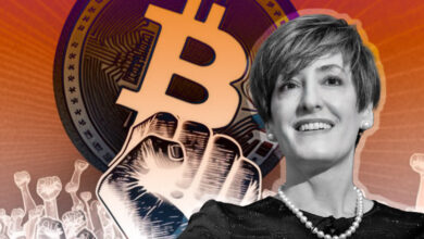 Bitcoin cannot be stopped – Regulators will only be playing Whack-a-Mole: Caitlin Long