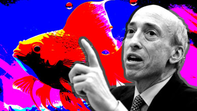 SEC’s Gensler analogizes crypto vs. securities to calling a dog a goldfish; sparks community backlash