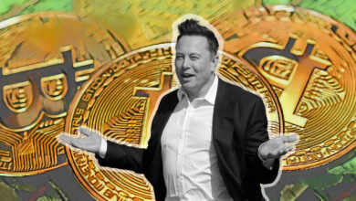 Texas regulators target crypto tokens capitalizing on Elon Musk, TruthGPT