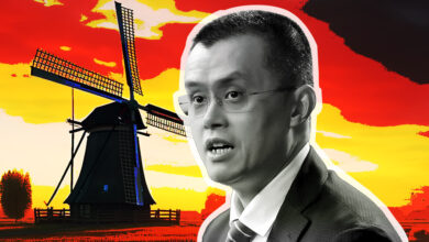 Binance CEO says Netherlands remains “progressive” despite failure to secure critical license