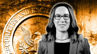 SEC commissioner Hester Peirce calls watchdog’s public accounting warning into question