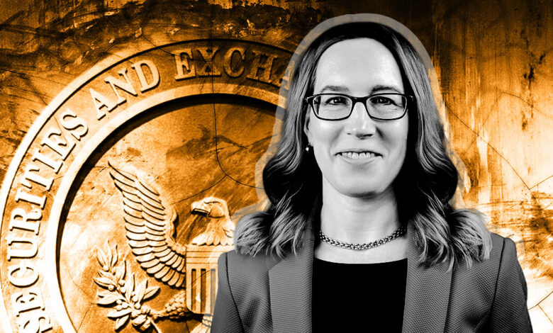 SEC commissioner Hester Peirce calls watchdog’s public accounting warning into question