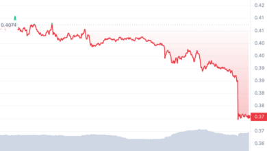 image of Solana token price drop