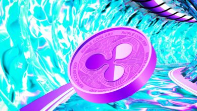 Ripple Calls Out SEC for Missing FTX Debacle, Says Regulator Repeatedly Hurting Retail Investors