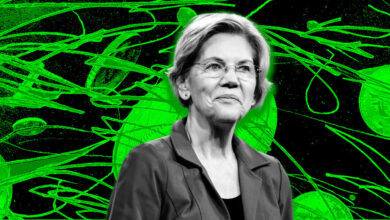 Elizabeth Warren’s anti-crypto bill sees surging support from 9 more Senators