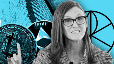 Ark’s Cathie Wood says SEC probably will only approve BTC and ETH ETFs