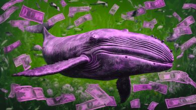 Hacker Returns Nearly All of $68,000,000 Worth of Crypto Stolen From Whale Wallet: On-Chain Data