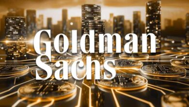 Goldman Sachs CEO says Bitcoin can potentially serve as store of value akin to gold