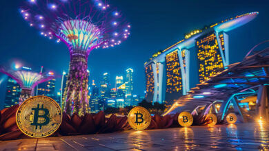 Singapore raises risk level for digital payment token providers in counter-terrorism update