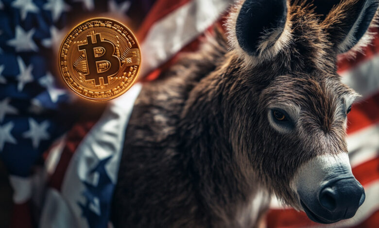 Democrat leaders back positive crypto reform in 2024, but community remains divided