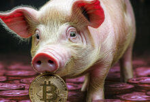 Federal agencies team up to fight surge in ‘pig butchering’ crypto scams