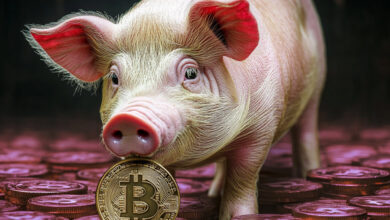 Federal agencies team up to fight surge in ‘pig butchering’ crypto scams